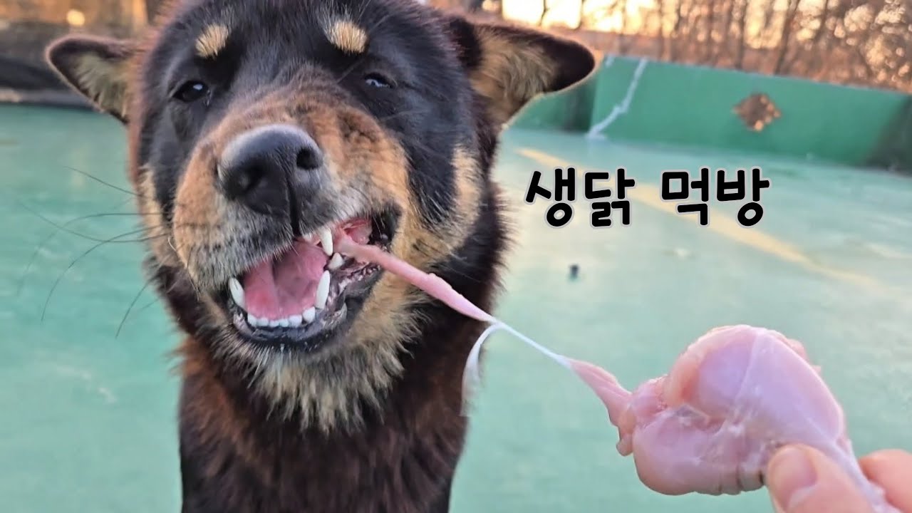 생닭 맛있게 먹는 방법