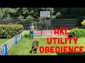 Akc utility obedience ud exercises explained and demoed