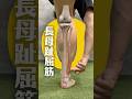 脚痩せ・膝下O脚改善で必須の『長母趾屈筋』はある部分を固定しないと伸びません! #脚やせ #膝下o脚 #ふくらはぎ痩せ