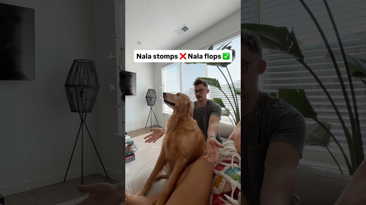 The cutest little flopper 🥹