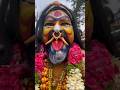 Potharaju Dance At Golkonda Bonalu 2023 Hyderabad Bonalu 2023 Shorts Short Shortvideo Trending Potharaju Dance At Golkonda Bonalu 2023 Hyderabad Bonalu 2023 Shorts Short Shortvideo Trending