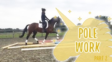 Equine Polework exercises for horses part two! | Shadow The Unicorn