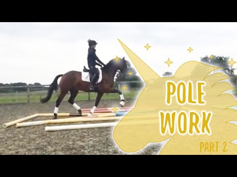 Equine Polework exercises for horses part two! | Shadow The Unicorn