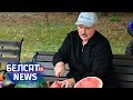 Лукашэнка паказаў свае кавуны | Лукашенко показал свои арбузы