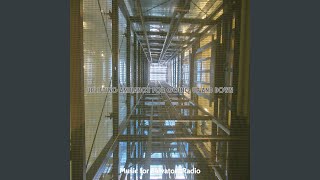 Relaxing Long Elevator Rides