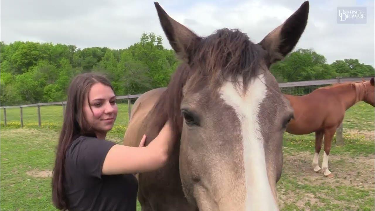 University of Delaware students succeed in Club Equestrian YouTube