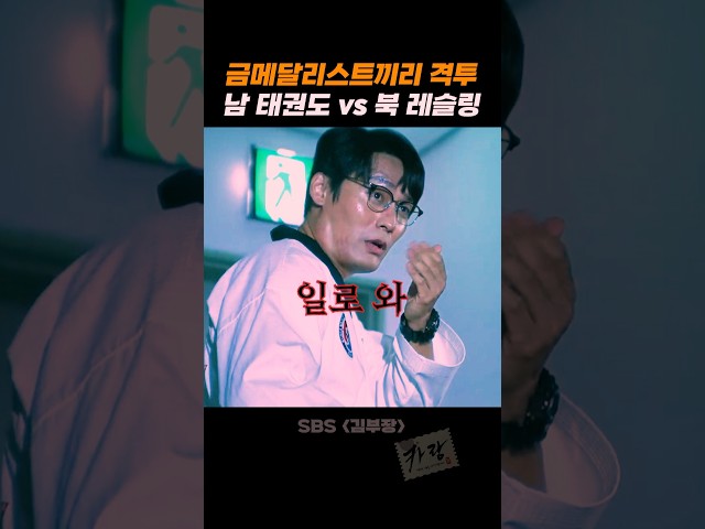 태권도 금메달과 레슬링 금메달이 붙으면 누가 이길까?