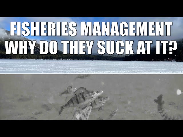 This Lake's Fisheries are Managed Stupidly 
