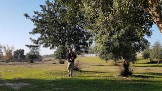 Happy New Year To You All