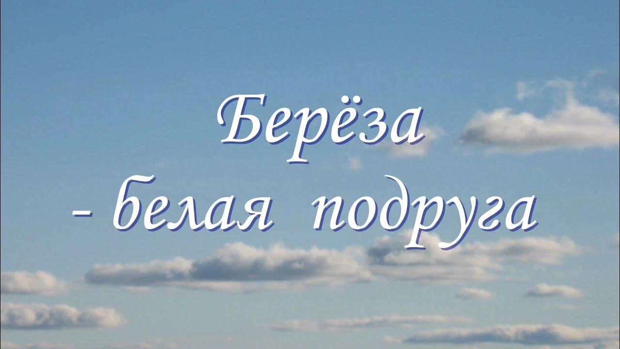 Песня береза белая подруга слушать. Песня береза белая подруга слушать. Плачет белая берёза у заветного окна слушать. Белая берёза песня слова. Песня береза белая подруга слушать.