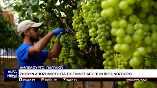 ΚΕΝΤΡΙΚΟ ΔΕΛΤΙΟ 04 08 2026