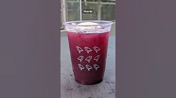 IPhone 16e Vs Pixel 8a Photo Comparison 