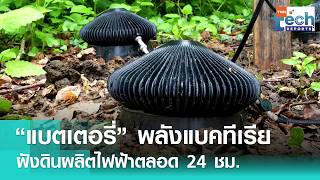 อังกฤษทำ “แบตเตอรี่แบคทีเรีย” ใช้พลังชีวภาพในดิน ผลิตไฟฟ้าได้ตลอด 24 ชม. | TNN Tech Reports