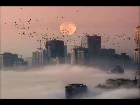 Rusch & Murray - Shield of Hearts [Original Mix]