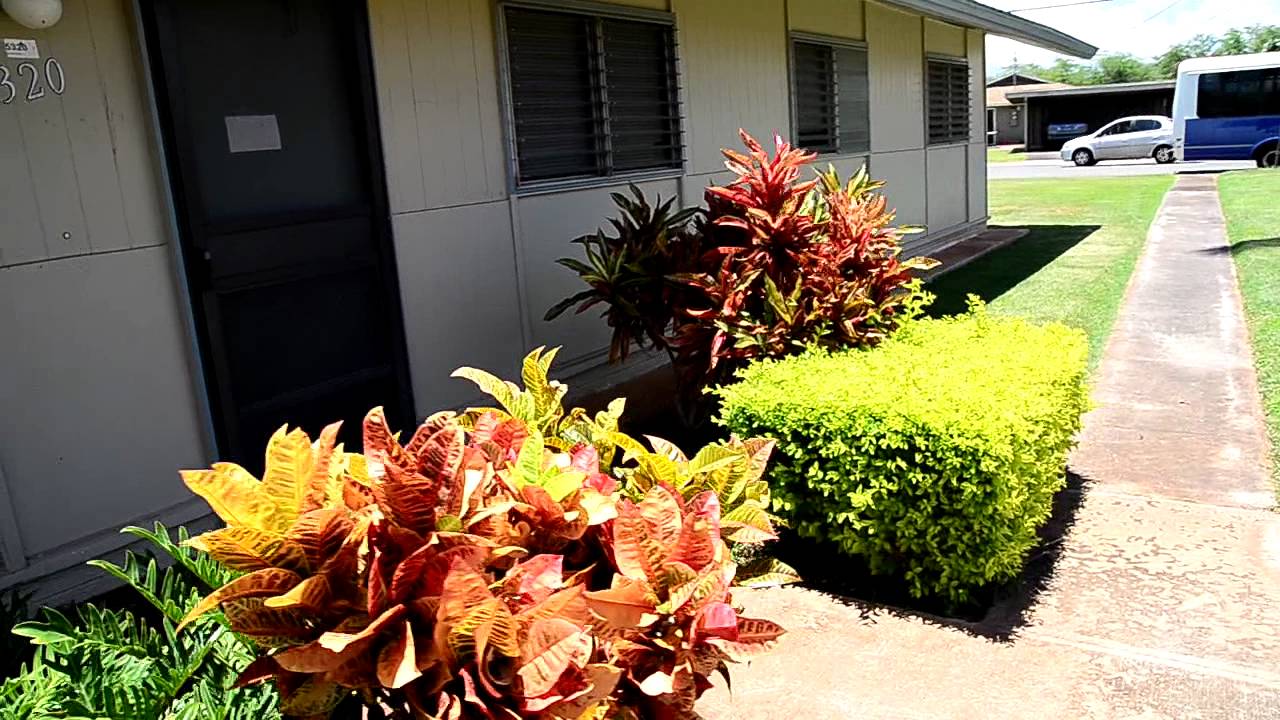 Iroquois Point YouTube