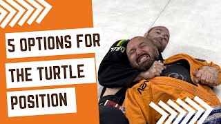 5 Options For The Finish In The Turtle Position In BJJ