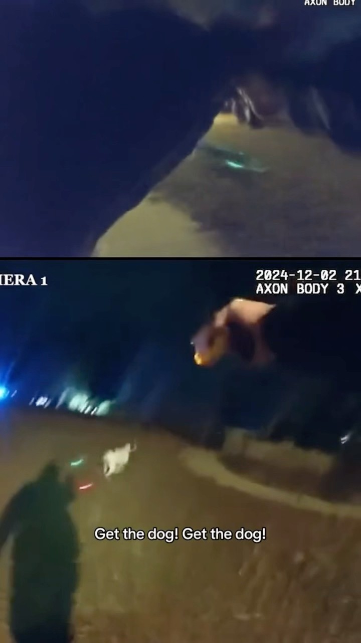 Bodycam footage shows officer fatally shooting family’s dog named Zeta #shorts