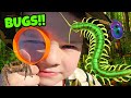 Bug hunt for giant bugs with caleb  mommy kids catching insects and playing outside with dad