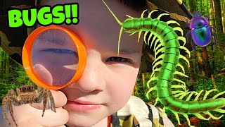 BUG Hunt for GIANT BUGS with Caleb \& Mommy! Kids Catching INSECTS and PLAYing OUTSIDE with DAD!