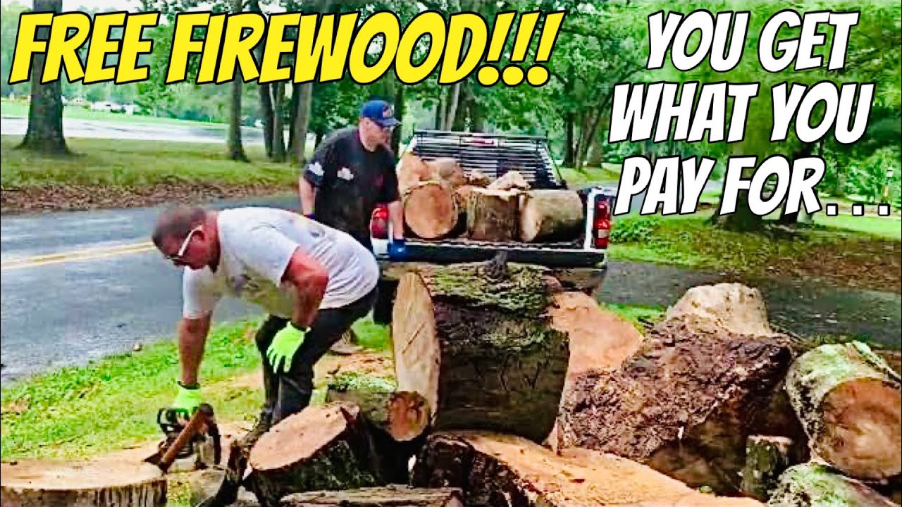 Picking up FREE tree service cut ash FIREWOOD rounds - YouTube