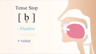 [ b͈ ] voiced bilabial tensed stop