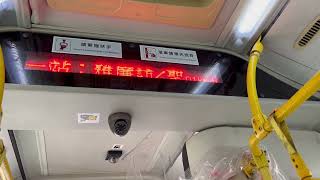澳巴宇通3007@7雅廉訪/聖心報站