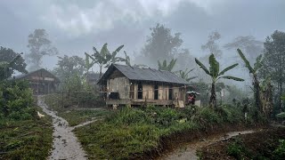 Download lagu Menginap di rumah warga berselimut kabut tebal, suasana sore di sambut hujan gerimis