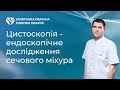 Цистоскопія - ендоскопічне дослідження сечового міхура в Запоріжжі