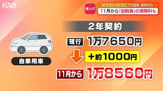 5月から食品値上げ 11月には自賠責保険料も13年ぶり引き上げへ | KAB
