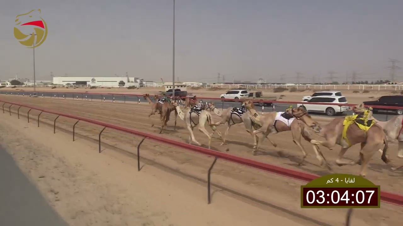 سباق اللقايا – الطي 02-03-2026 ش6 همال لـ علي عبدالله علي بنواس 5:54