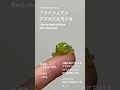 グミガエルの天敵は？