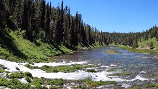 Yellowstone Evacuation continues as News and Reality Sets In