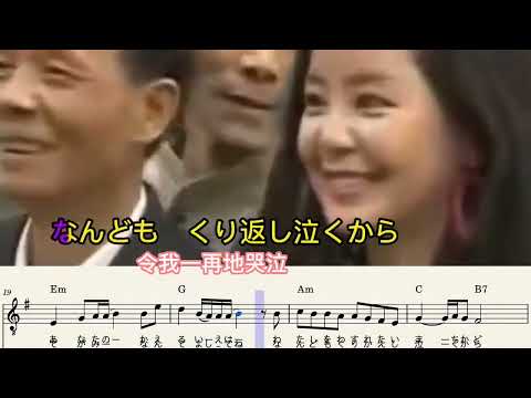 中島みゆき - ひとり上手 (漫步人生路鄧麗君)  karaoke 中文翻譯