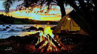 Campfire at Sunset 🍁🔥 Peaceful Stream Sounds &amp; Night Ambience for Relaxation