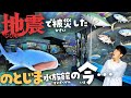 ジンベエザメがピンチ!?能登半島地震を乗り越えた のとじま水族館を徹底ツアー!