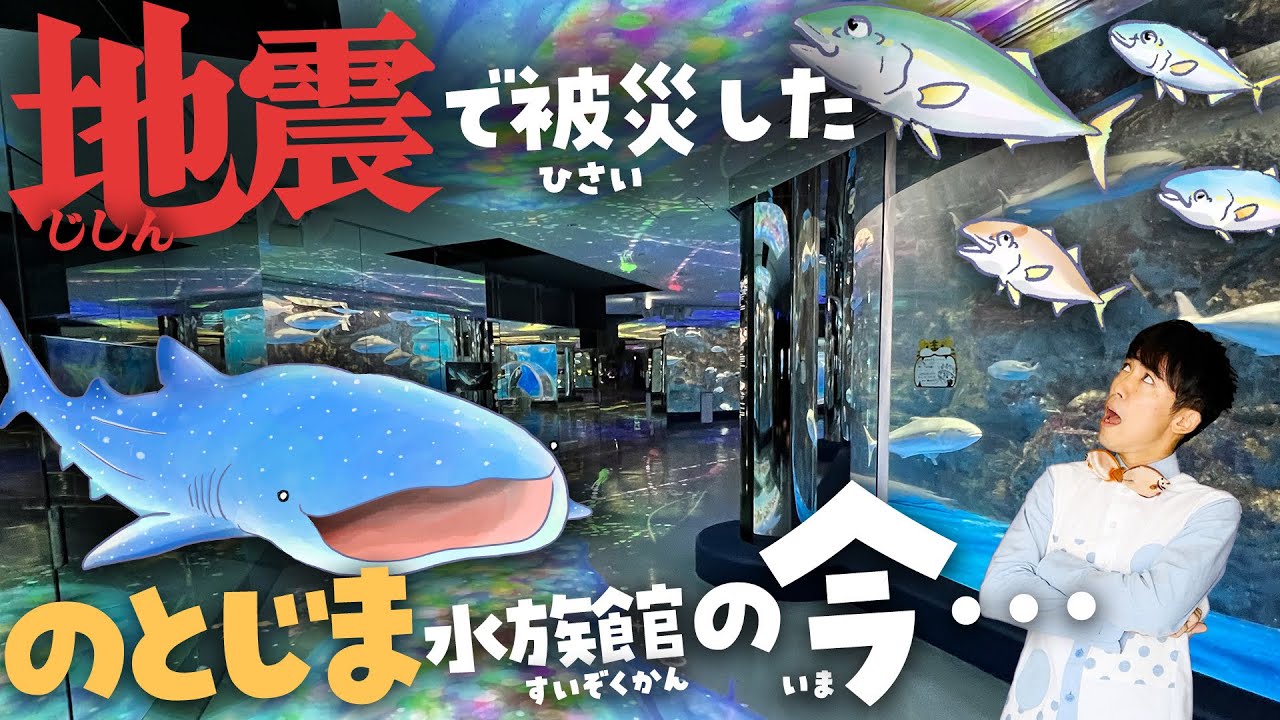 ジンベエザメがピンチ！？能登半島地震を乗り越えた のとじま水族館を徹底ツアー！