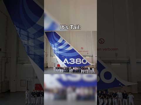 How Big The A380 Really Is😱 #plane #airplane #aviation #a380