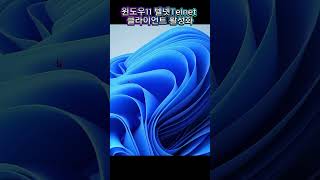 윈도우11 텔넷Telnet 클라이언트 활성화하기