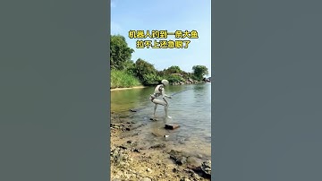 Robots do farm work#robot #farmer #AIgeneratesvideos #shorts #aigeneratesvideos #funny  #robotics