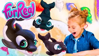 Hasbro Furreal Koi the Kisser Orca Whale Interactive Plush Toy Unboxing | SUPER CUTE