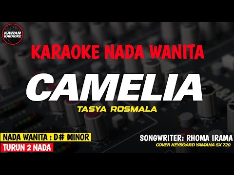 CAMELIA KARAOKE RHOMA IRAMA