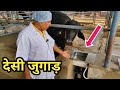 कमाल का देसी जुगाड़ मैनेजमेंट👍|Automatic Water Bowl for Dairy Farm Mangement📞7015994969