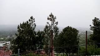 Neve em Viseu 31-03-2020