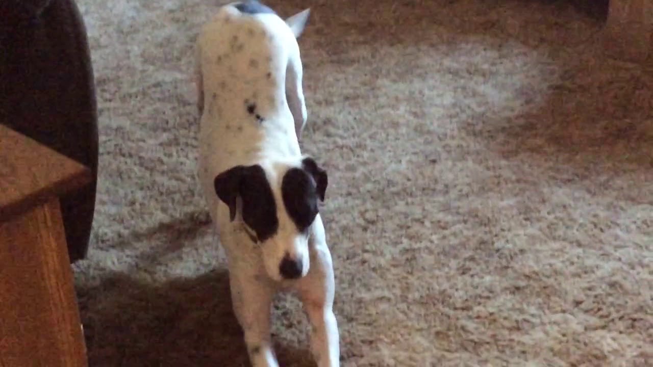 trim 2804284A 01FB 4C34 B893 C1D9BA869D9C - YouTube