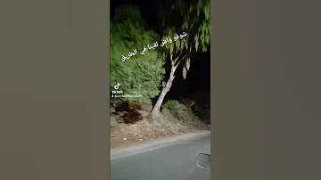 أخطر طريق في الجزائر رعب حقيقي 
