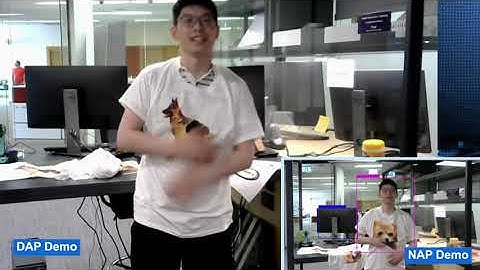 DAP: A Dynamic Adversarial Patch for Evading Person Detectors (CVPR24)