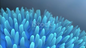cellular movement in cell | subcellular components | animation