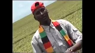 TINYON BY SUBEMBE ORIGINAL