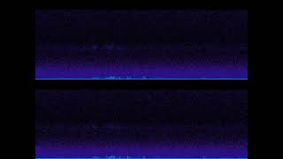 Details spectrogram 240s rainbow News