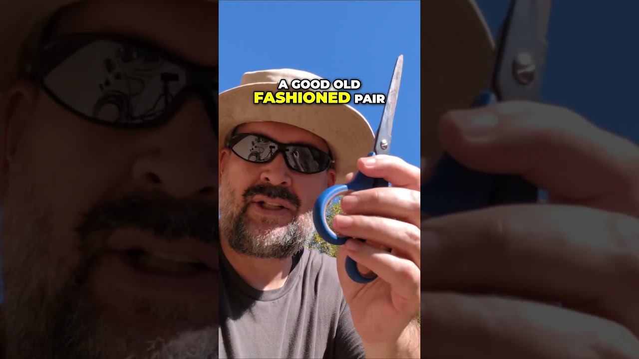 How to Fix a Broken Sprinkler Line  Easy DIY Tutorial